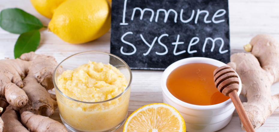 How to Build a Healthy Immune System Essential Tips for Strengthening Your Body's Defenses